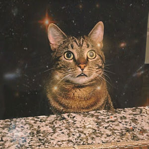 Meet your Posher, Vbbymcr